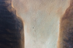 endetail_dejections
